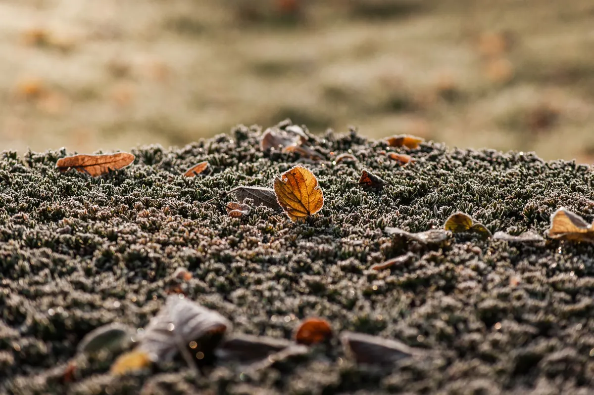 Seasonal: Crystals for Autumn: How to Work with Smoky Quartz and Citrine as the Nights Draw In